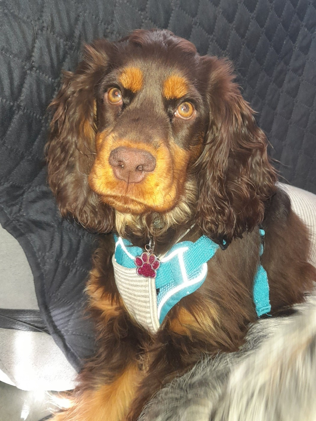 Amanda dite bibounette Esperanza Del Sueño